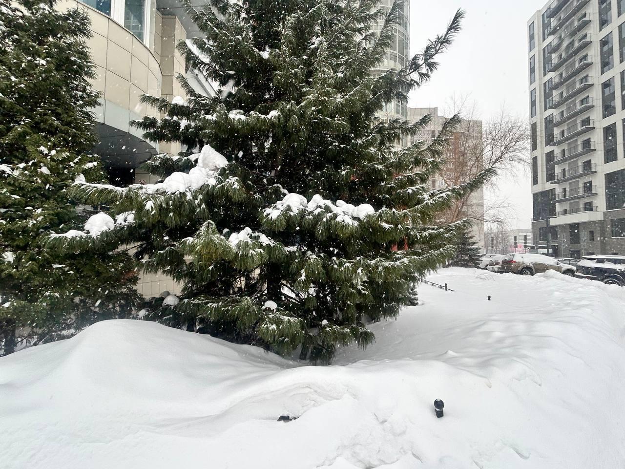 Фото Новосибирск засыпало снегом накануне 40-градусных морозов: 10 кадров аномальной погоды 11